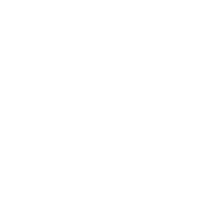 Logo_Leilso_Massages-Bien-etre-lyon